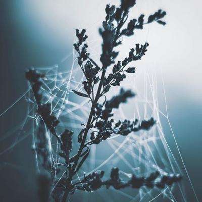 astral chronicles官方版下载